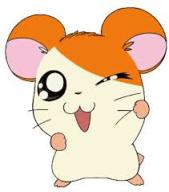 Hamtaro