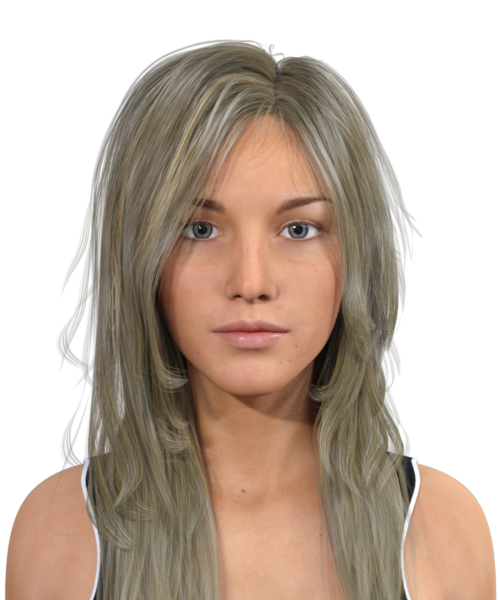 Dirty Blonde Hair (Long Hair) - Bot Libre